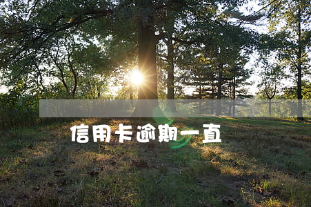 信用卡逾期一直沒錢還會怎么樣