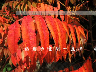 信用卡逾期一直消顯示已還清