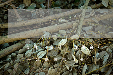 信用卡逾期一直用會(huì)被覆蓋 逾期一次影響信用卡