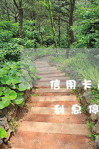 信用卡逾期一直瘋漲利息(信用卡逾期好幾年利息停了)
