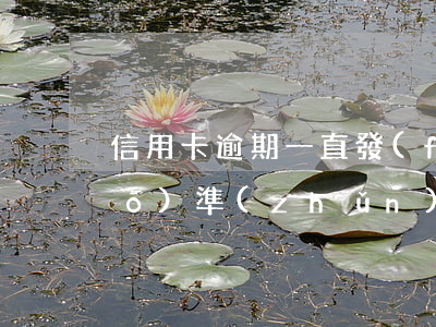 信用卡逾期一直發(fā)信息說(shuō)準(zhǔn)備起訴-信用卡逾期一直發(fā)信息說(shuō)準(zhǔn)備起訴是真的嗎