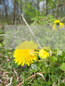 信用卡逾期一直要利息么(信用卡逾期有利息嗎)
