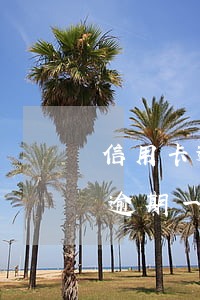 信用卡逾期一直還還會有什么后果-信用卡逾期一直還還會有什么后果嗎