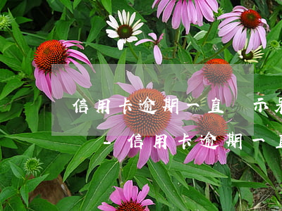 信用卡逾期一直顯示呆賬會(huì)怎么樣-信用卡逾期一直顯示呆賬會(huì)怎么樣嗎