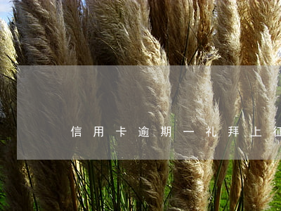 信用卡逾期一礼拜上征信吗(信用卡 逾期 一周)