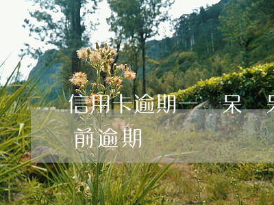 信用卡逾期一筆呆賬 呆賬和當(dāng)前逾期