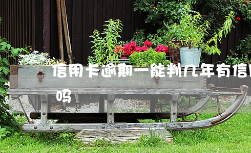 信用卡逾期一能判几年(有信用卡逾期几年的吗)
