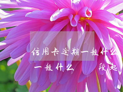 信用卡逾期一般什么時間段起訴(信用卡逾期一般什么時間段起訴)