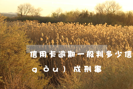 信用卡逾期一般判多少(信用卡逾期多少構(gòu)成刑事)