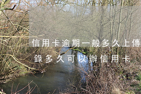 信用卡逾期一般多久上傳征信(征信有逾期記錄多久可以辦信用卡)