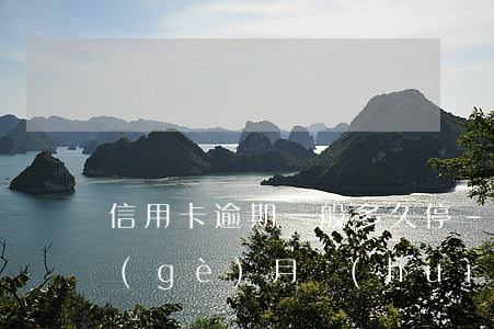 信用卡逾期一般多久停-欠信用卡逾期幾個(gè)月會(huì)立案