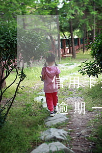 信用卡逾期一般多久可以再次办卡-信用卡逾期一般多久可以再次办卡呢