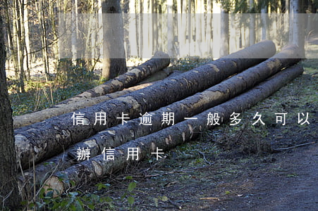 信用卡逾期一般多久可以用(逾期以后多久能辦信用卡)