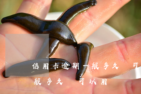 信用卡逾期一般多久還可以用（信用卡逾期一般多久還可以用）
