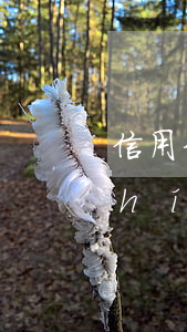 信用卡逾期一般多長(zhǎng)時(shí)間沒(méi)事-信用卡 逾期 幾天