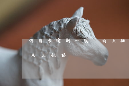 信用卡逾期一般幾天上征信(逾信用卡逾期多久上征信)