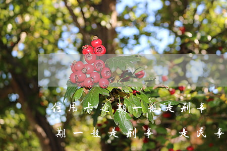 信用卡逾期一般是刑事還是民事-信用卡逾期一般是刑事還是民事案件