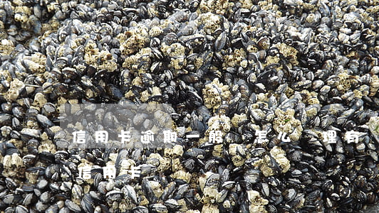 信用卡逾期一般會怎么處理(有過逾期怎么辦信用卡)