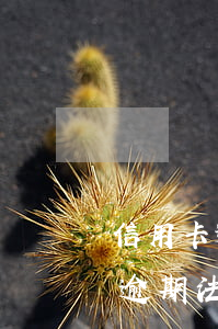 信用卡逾期一般法院會受理嗎(一萬多信用卡逾期法院受理嗎)