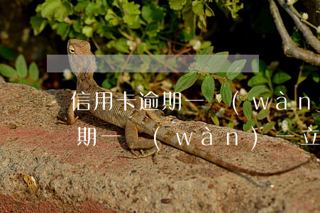 信用卡逾期一萬(wàn)一立案(信用卡逾期一萬(wàn)一立案標(biāo)準(zhǔn))