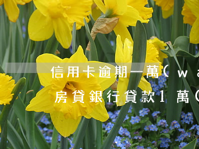 信用卡逾期一萬(wàn)三個(gè)月房貸(銀行貸款1萬(wàn)逾期三個(gè)月了)