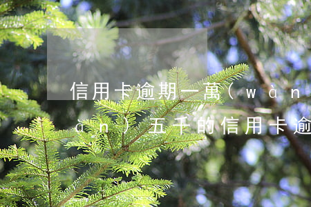 信用卡逾期一萬(wàn)三年變五萬(wàn)(五千的信用卡逾期一年)