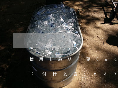 信用卡逾期一萬(wàn)不還會(huì)付什么責(zé)任-信用卡10000逾期