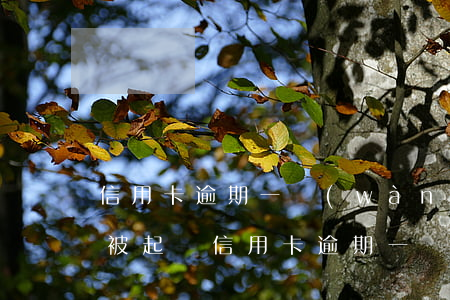 信用卡逾期一萬(wàn)五會(huì)被起訴 信用卡逾期一萬(wàn)五會(huì)被起訴嗎