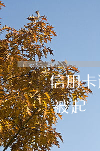 信用卡逾期一萬(wàn)五會(huì)被起訴嗎(信用卡1萬(wàn)逾期會(huì)起訴嗎)