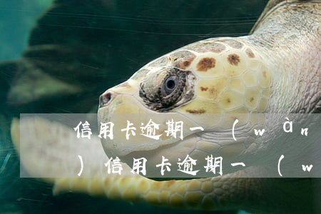 信用卡逾期一萬(wàn)以下會(huì)(信用卡逾期一萬(wàn)以下會(huì)上門(mén)嗎)