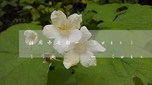 信用卡逾期一萬(wàn)來塊錢會(huì)起訴嗎-一萬(wàn)多信用卡逾期法院受理嗎