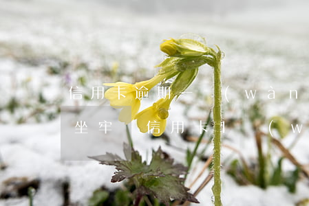 信用卡逾期一萬(wàn)八會(huì)坐牢嗎(信用卡1萬(wàn)逾期會(huì)坐牢嗎)