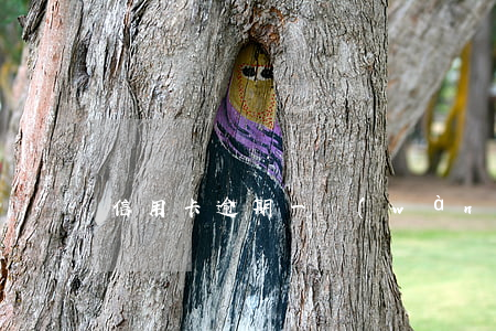 信用卡逾期一萬(wàn)六判多久