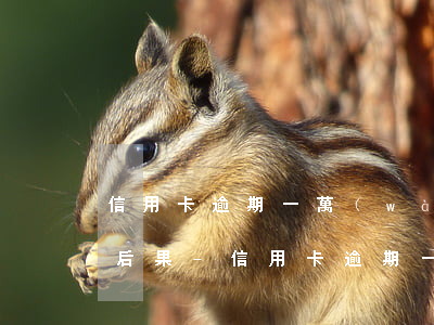 信用卡逾期一萬(wàn)塊錢不還有什么后果-信用卡逾期一萬(wàn)塊錢不還有什么后果嗎