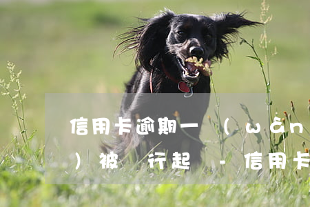 信用卡逾期一萬(wàn)多久會(huì)被銀行起訴-信用卡逾期一萬(wàn)多久會(huì)被銀行起訴