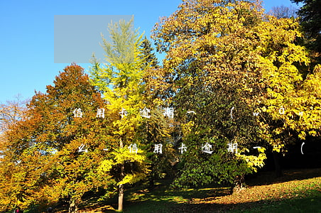 信用卡逾期一萬(wàn)多起訴后果是什么-信用卡逾期一萬(wàn)多起訴后果是什么呢
