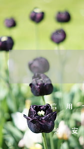 信用卡逾期一萬(wàn)會(huì)被治安拘留嗎(拘留一個(gè)月信用卡逾期)