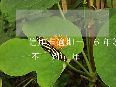 信用卡逾期一萬6年怎么辦(信用卡6萬逾期不還判幾年)
