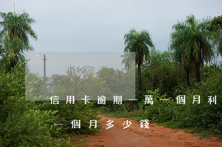 信用卡逾期一萬一個月利息(1萬信用卡逾期一個月多少錢)