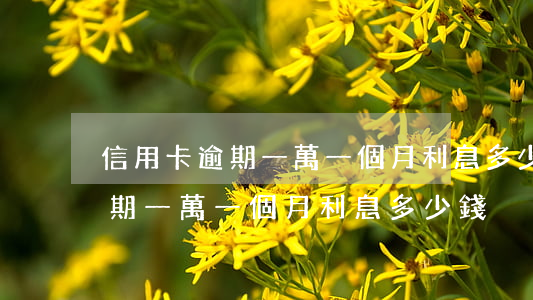信用卡逾期一萬一個月利息多少-信用卡逾期一萬一個月利息多少錢