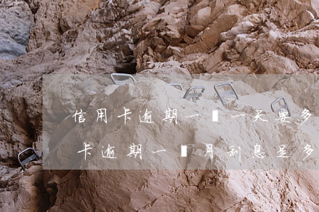 信用卡逾期一萬一天要多少利息(一萬元信用卡逾期一個月利息是多少)