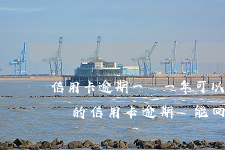 信用卡逾期一萬一年可以出國嗎(出國以后國內的信用卡逾期還能回國嗎)