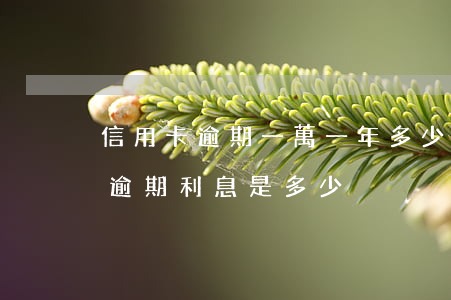 信用卡逾期一萬一年多少利息(一萬多信用卡逾期利息是多少)