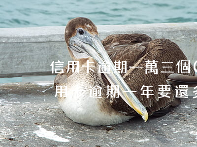 信用卡逾期一萬三個(gè)月沒還(3萬信用卡逾期一年要還多少)