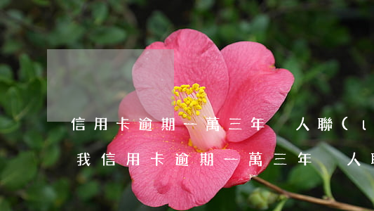 信用卡逾期一萬三年沒人聯(lián)系我(信用卡逾期一萬三年沒人聯(lián)系我怎么辦)