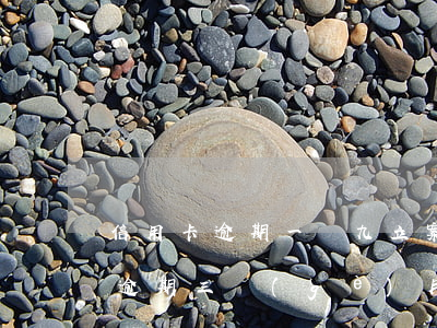 信用卡逾期一萬九立案抓人(欠信用卡九千元逾期三個(gè)月后果會怎么樣)