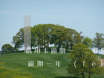 信用卡逾期一萬二利息怎么算 兩萬的信用卡逾期一年費(fèi)用多少