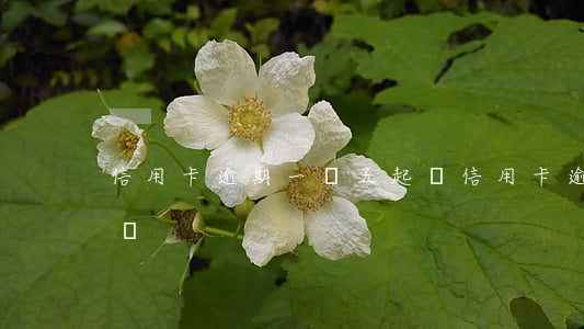 信用卡逾期一萬五起訴 信用卡逾期一萬五起訴