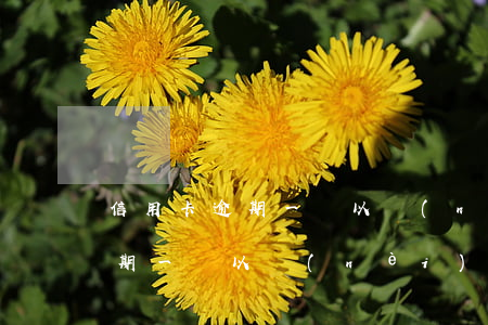 信用卡逾期一萬以內(nèi)-信用卡逾期一萬以內(nèi)怎么辦