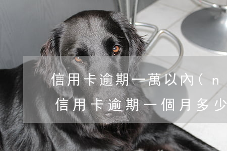 信用卡逾期一萬以內(nèi)的金額(1萬信用卡逾期一個月多少錢)